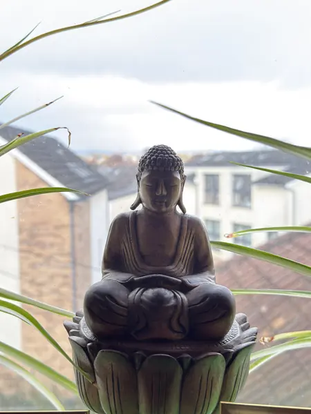 cardiff-canton-view-from-the-window